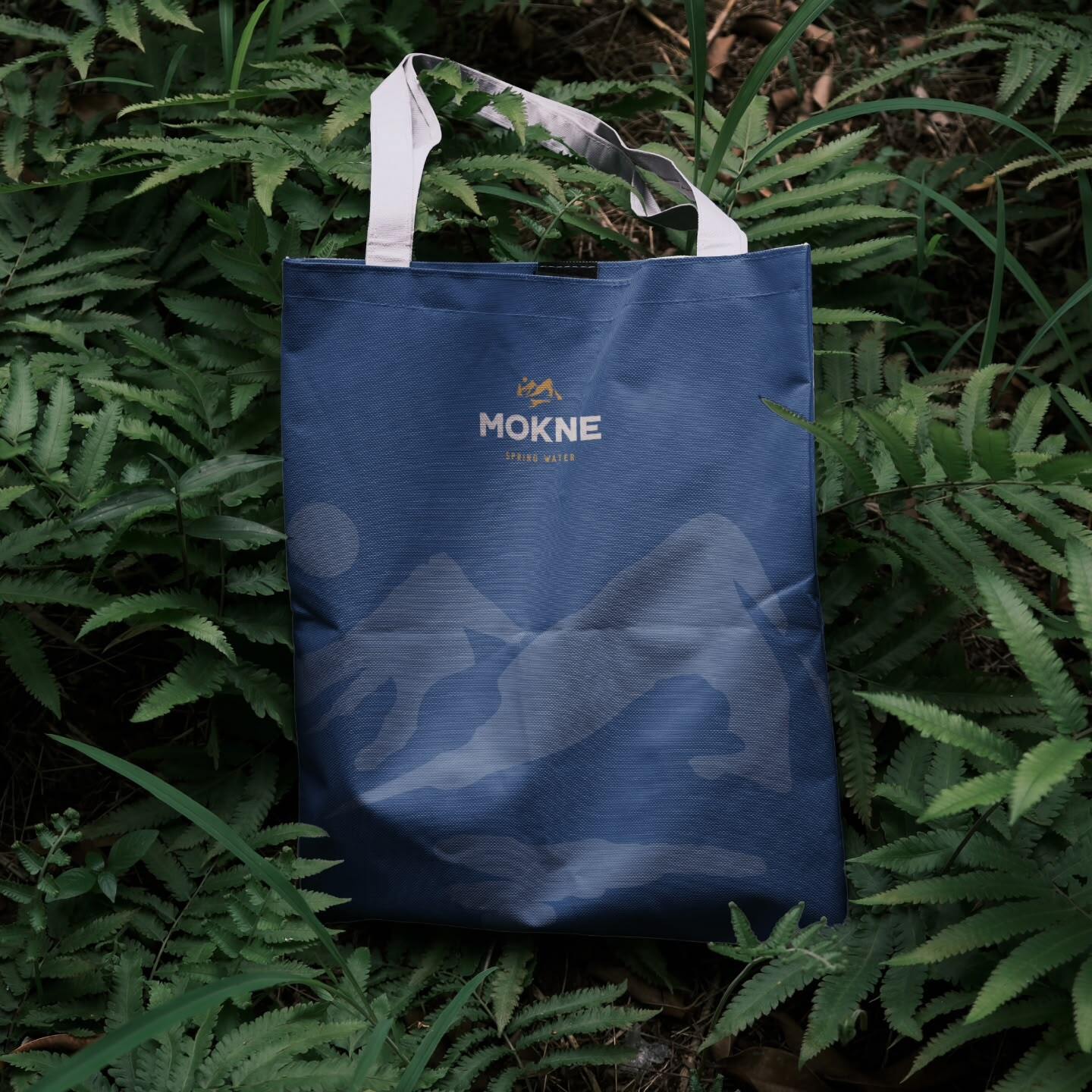 MOKNE
