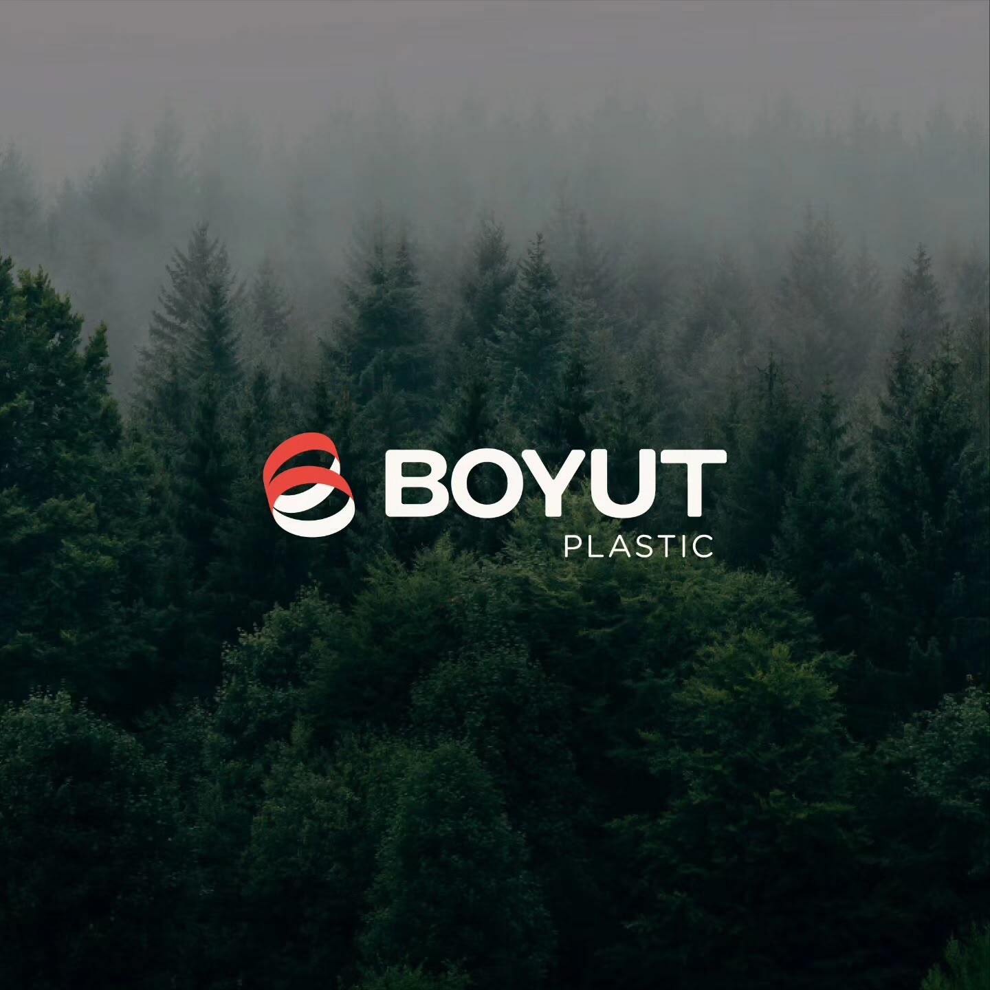 Boyut